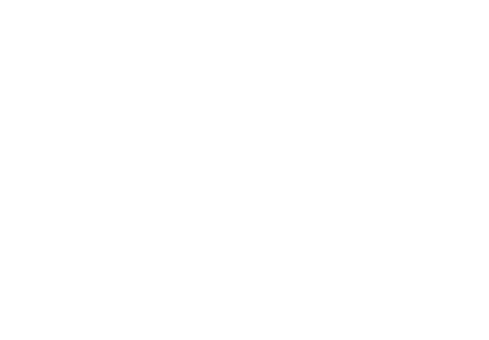 C.E. Fisioterapia